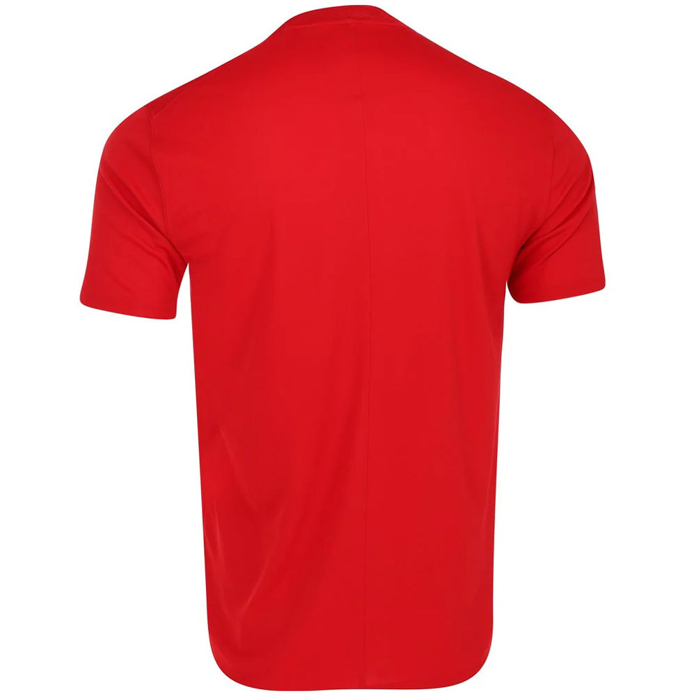 Dri-FIT Victory Blade Collar Polo