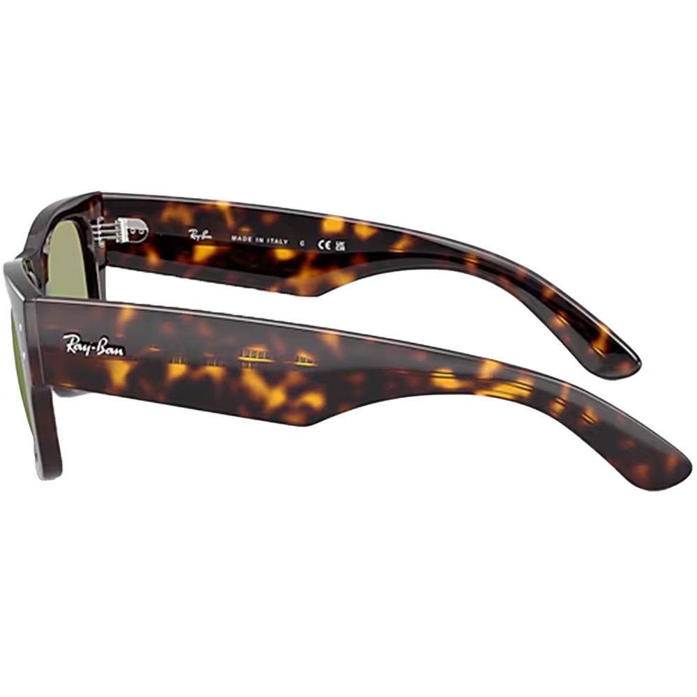 Mega Wayfarer Sunglasses