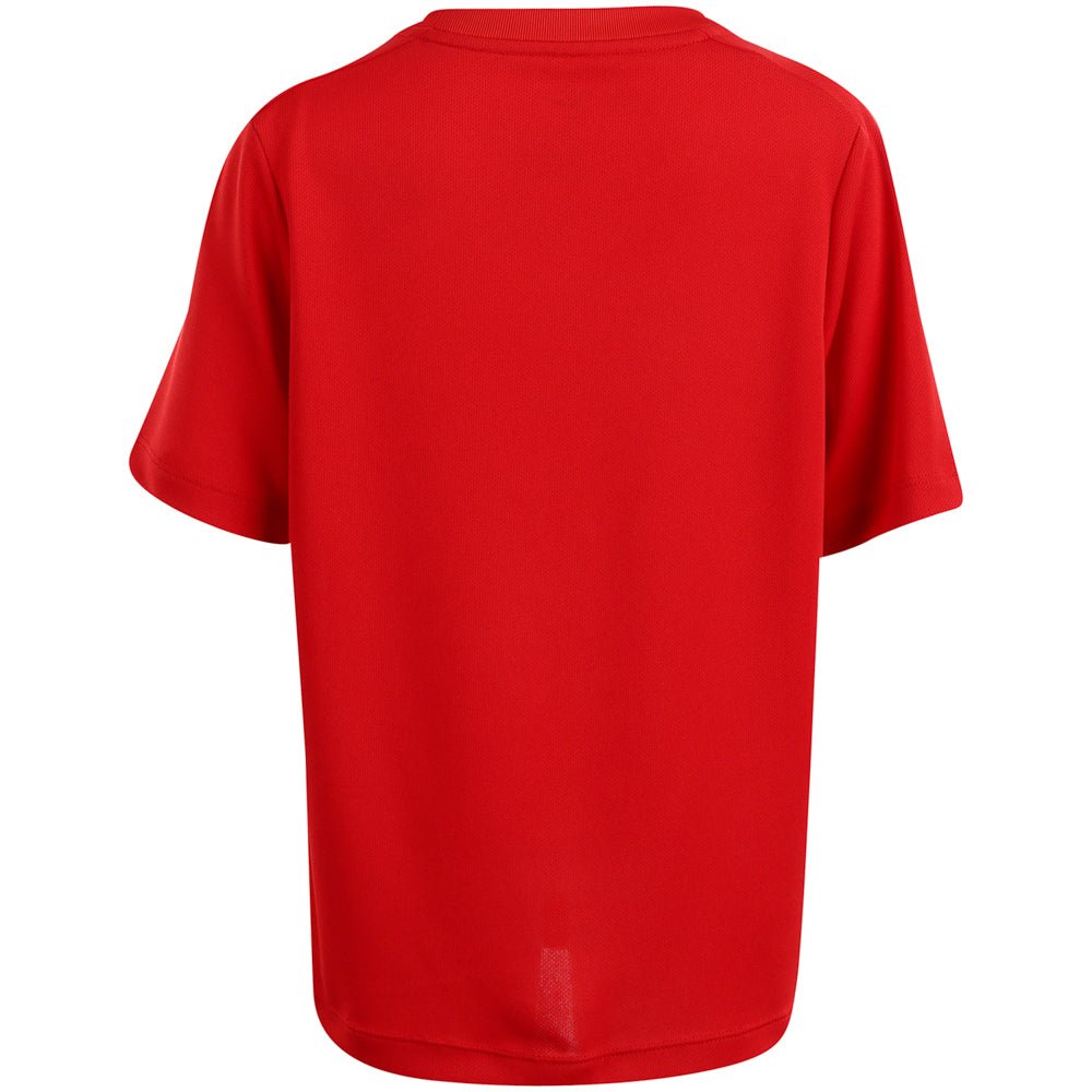 Boys' Multi Big Kids' Dri-FIT Tee