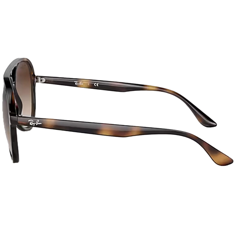 RB4376 Sunglasses