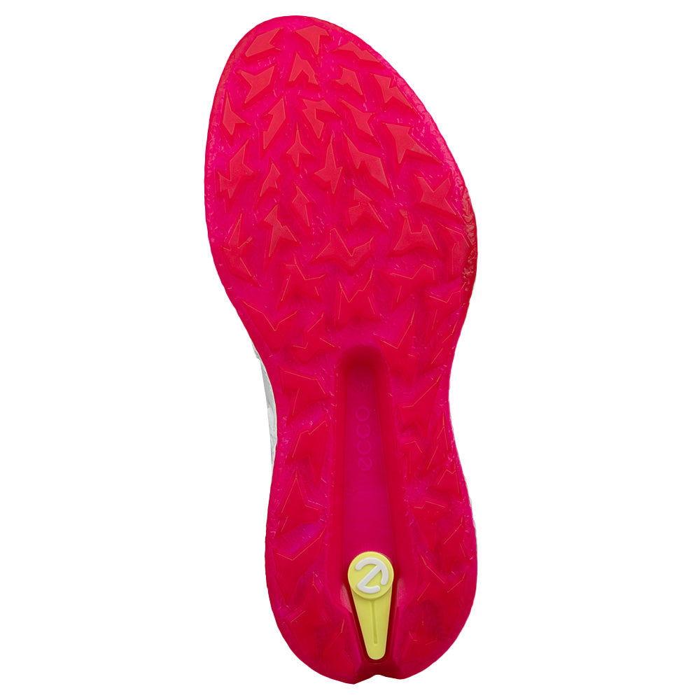 Women's BIOM H5 BOA Spikeless Golf Shoes