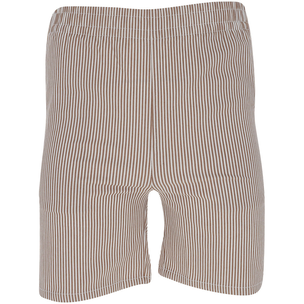 Otis Stripe Oxford Shorts