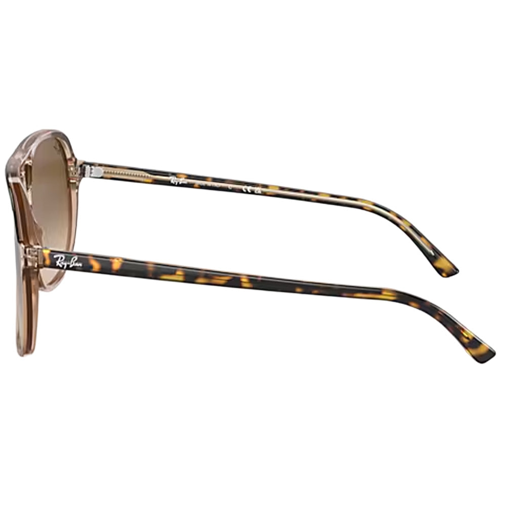Bill Sunglasses