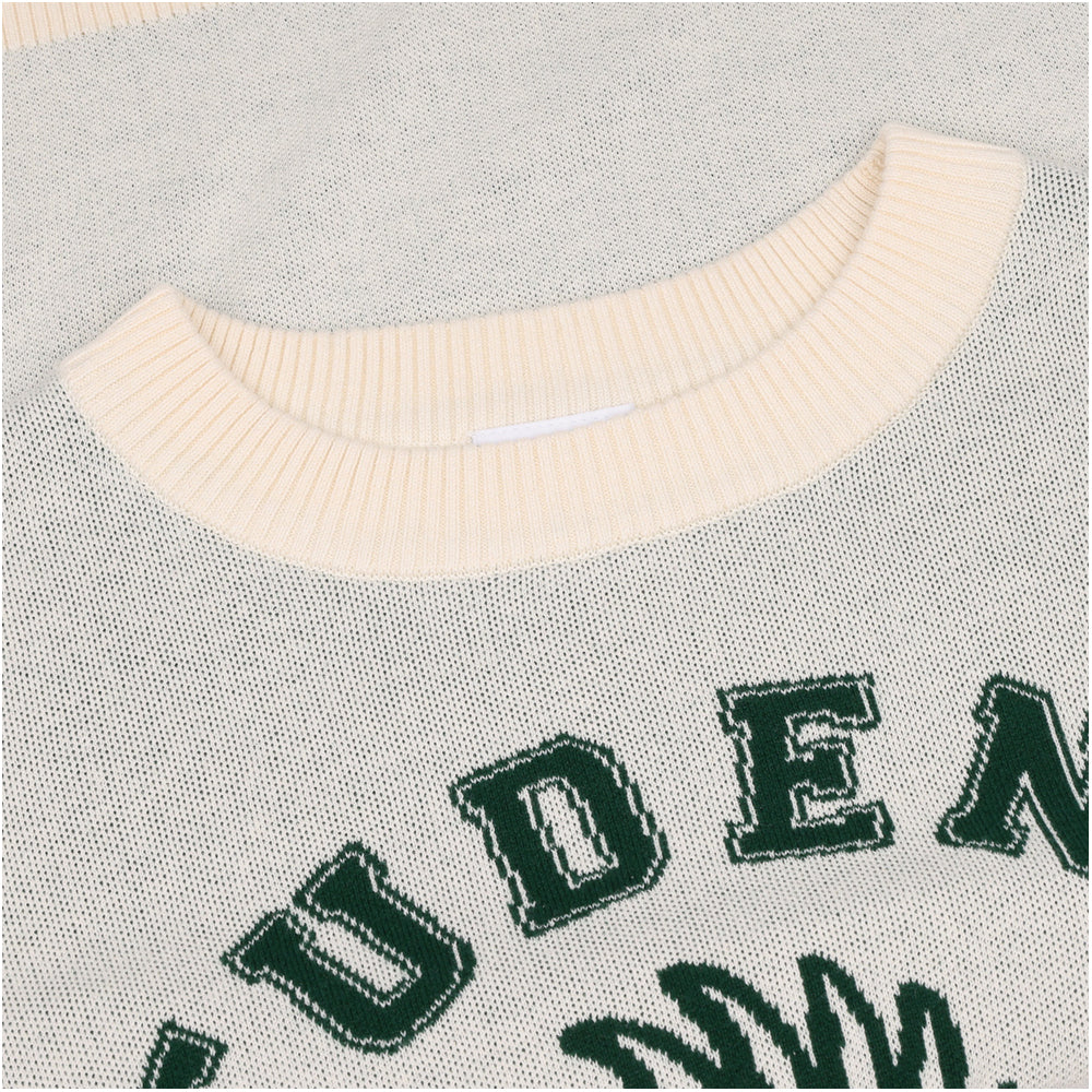 Chip Knit Crewneck Sweater