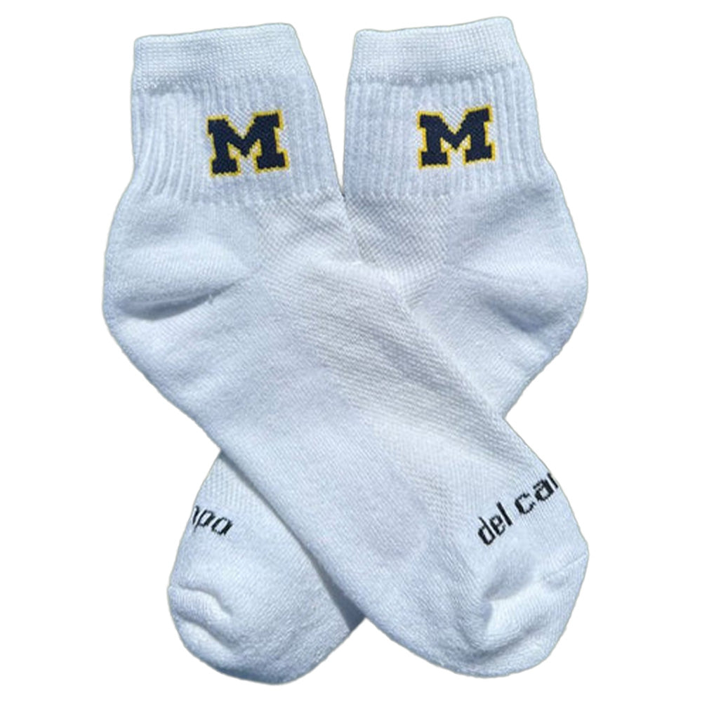 Go Blue Socks