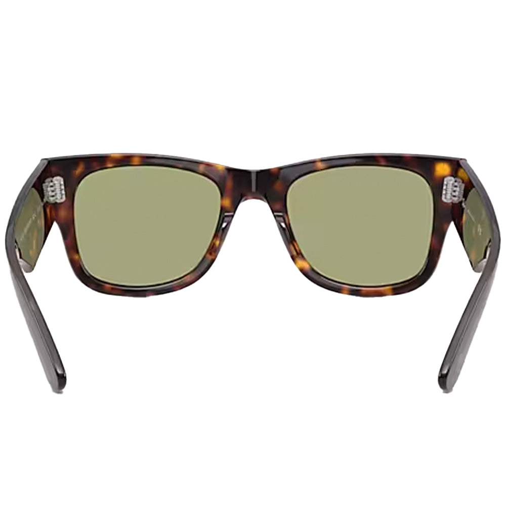 Mega Wayfarer Sunglasses