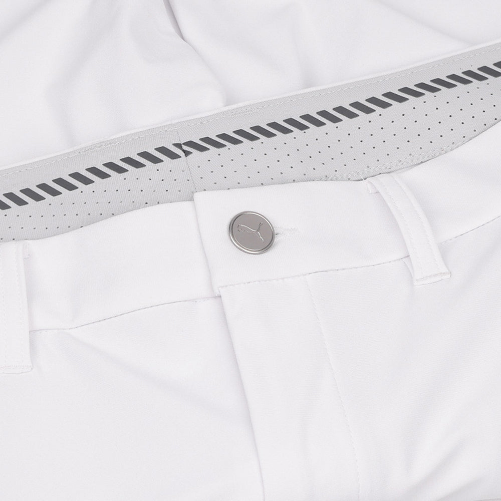 101 Premier 8" Shorts