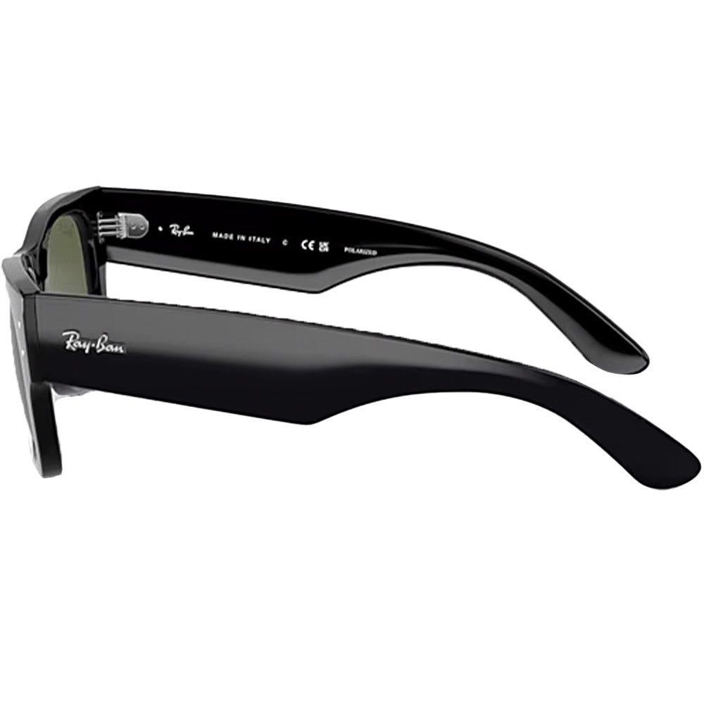 Mega Wayfarer Sunglasses