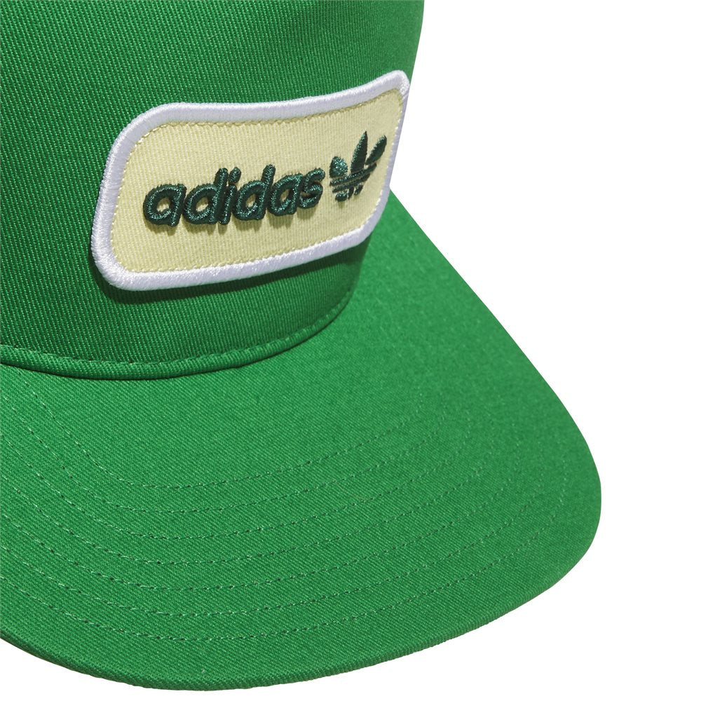 Tour Archive 5 Panel Hat