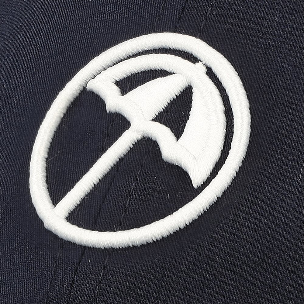 AP Dad Hat
