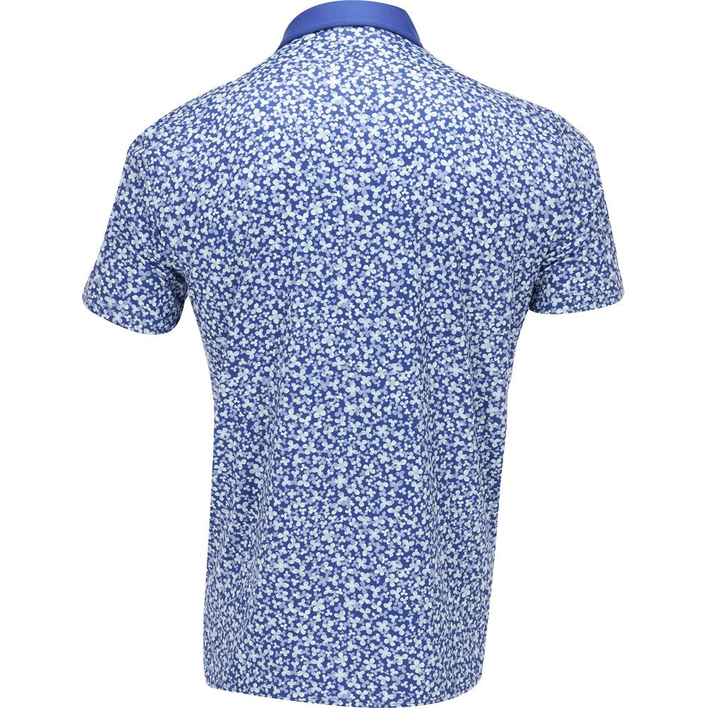 Brewer Polo