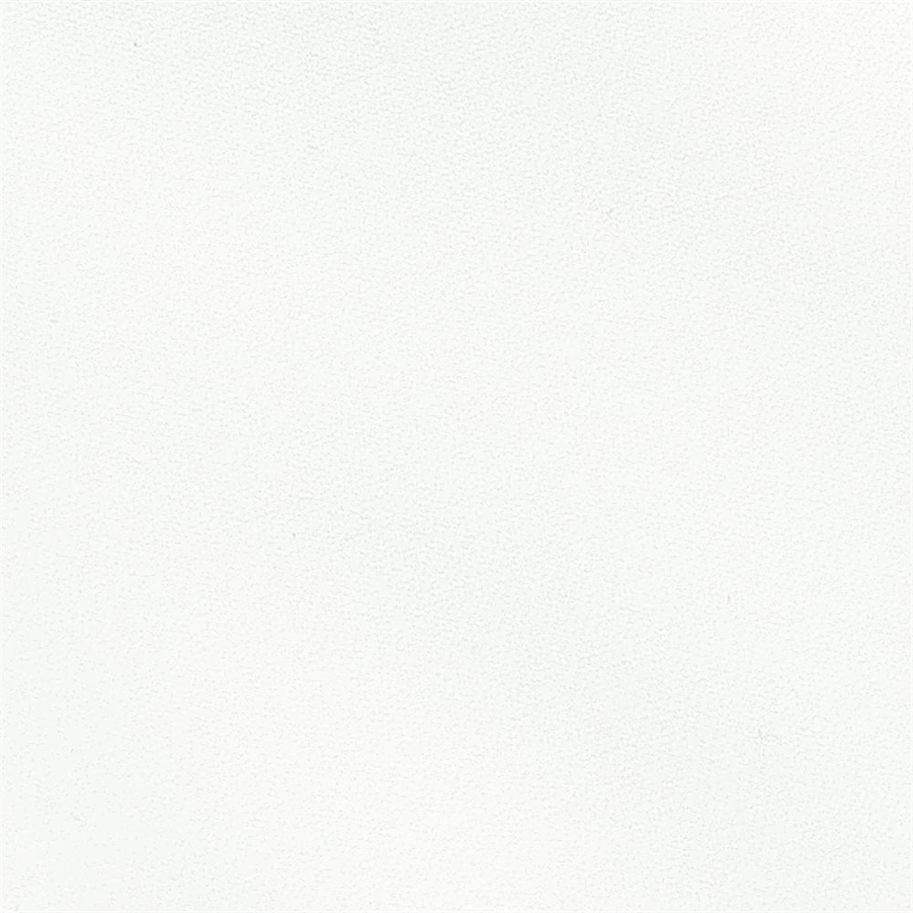 Women's Meghan Stripe Pant