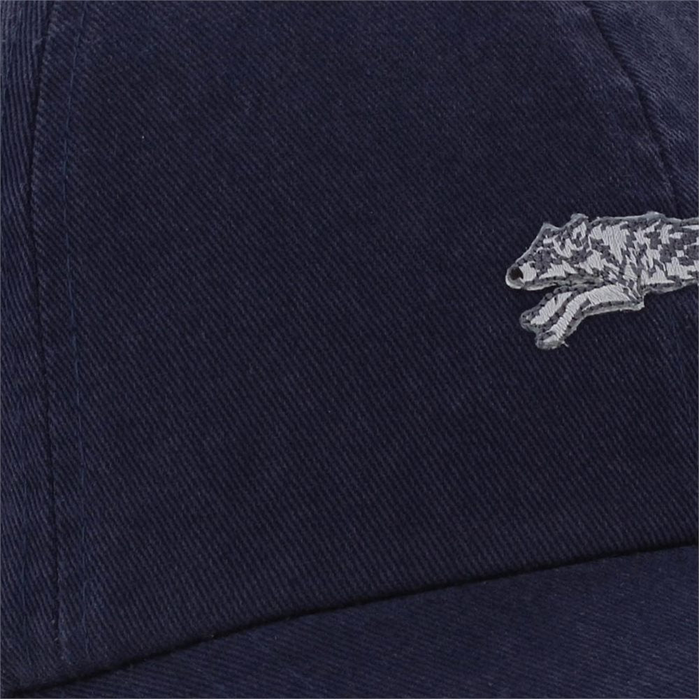 Running Wolf Dad Hat