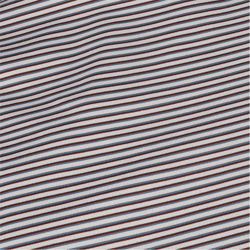 Tour Stripe Polo