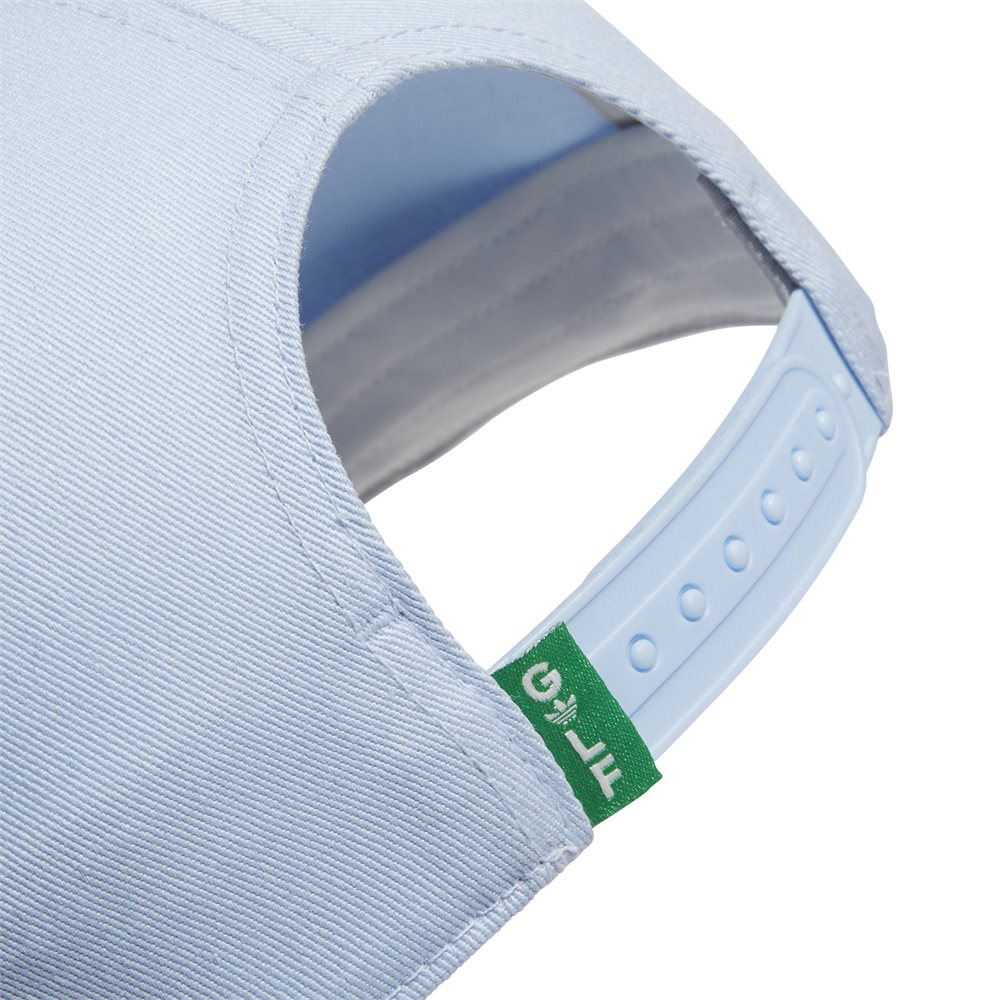 Tour Archive 5 Panel Hat