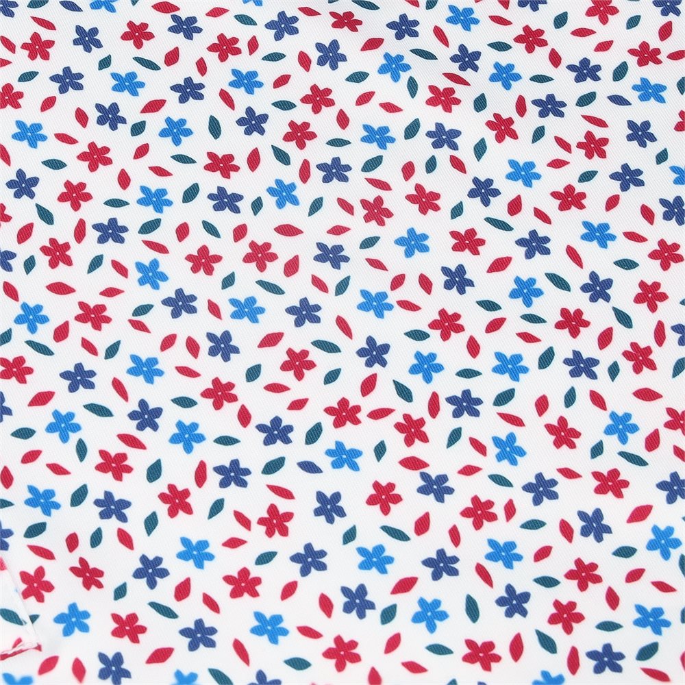 Cameron Polo