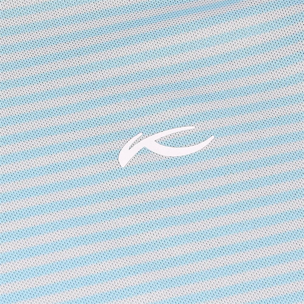 Lee Stripe Polo - Fairway Styles