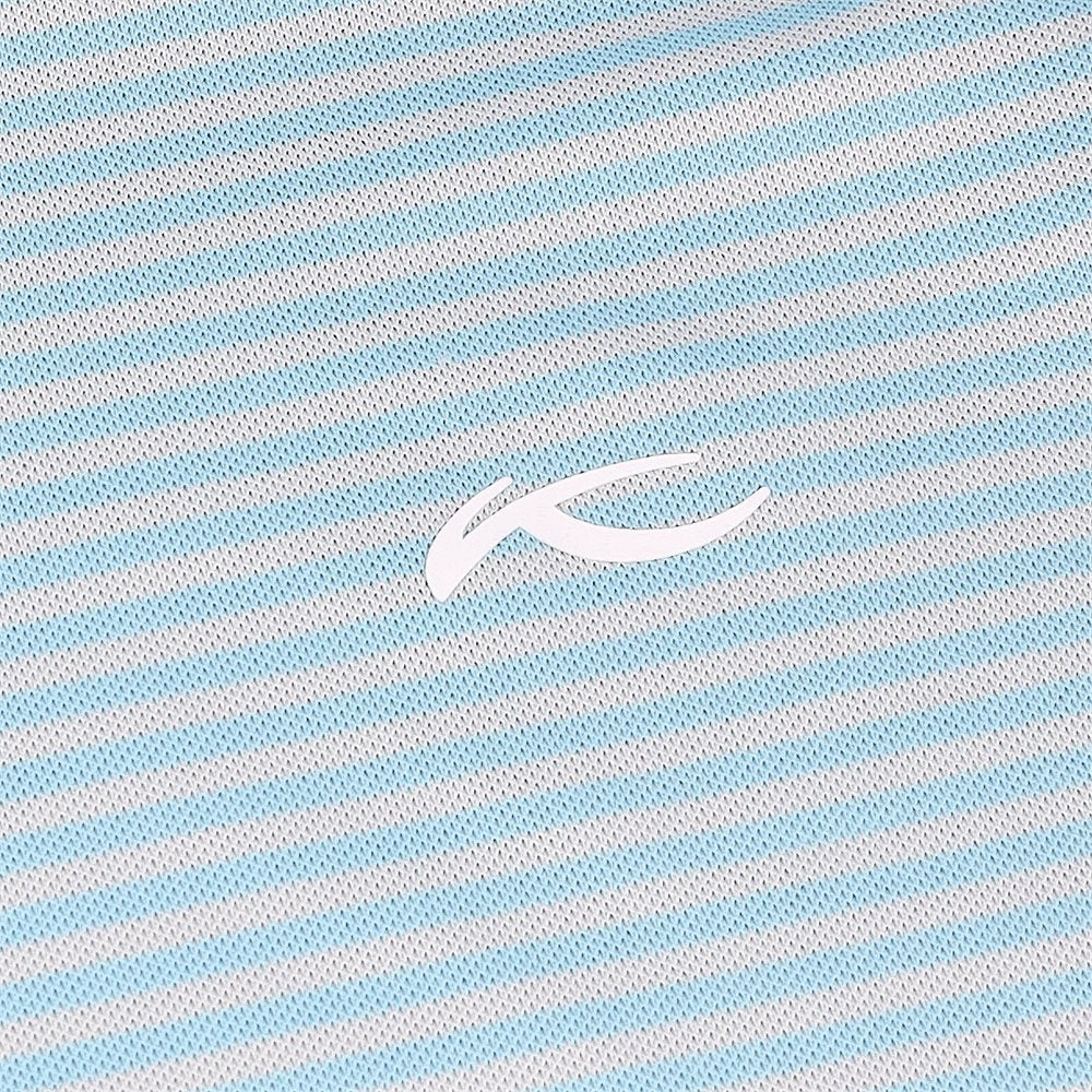Lee Stripe Polo
