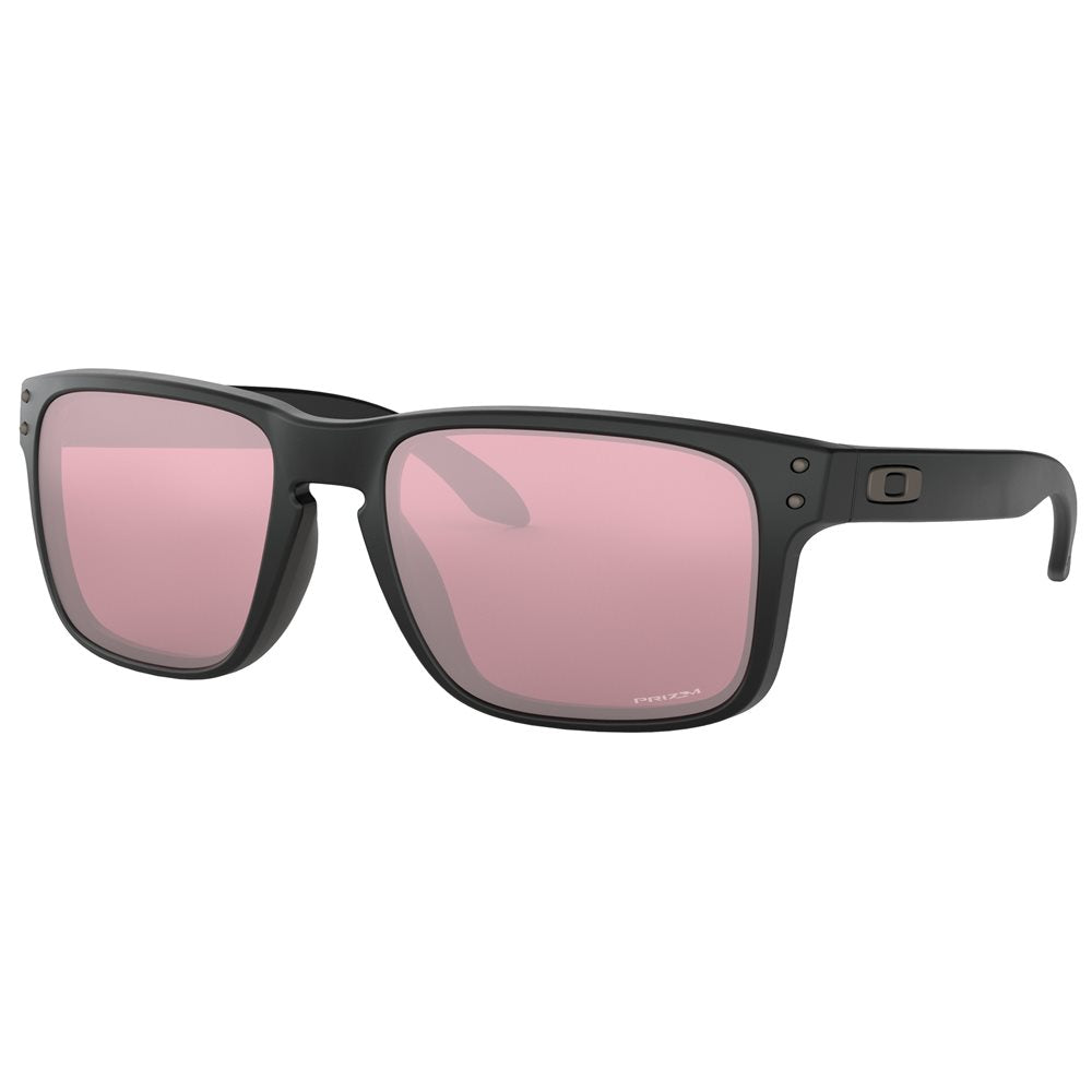 Holbrook Sunglasses w/ Prizm