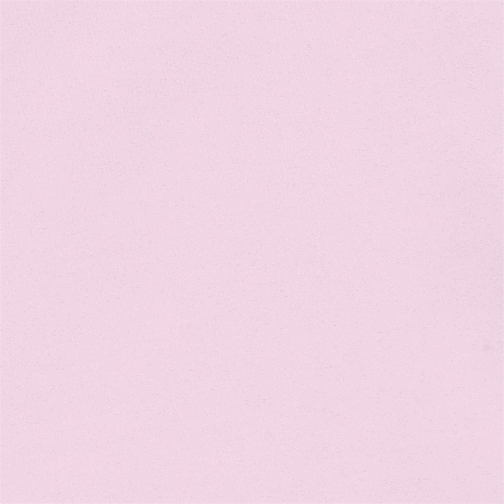 Women's Scarlett Polo