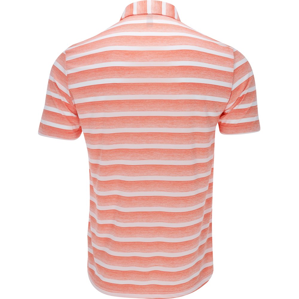 Two-Color Striped Polo