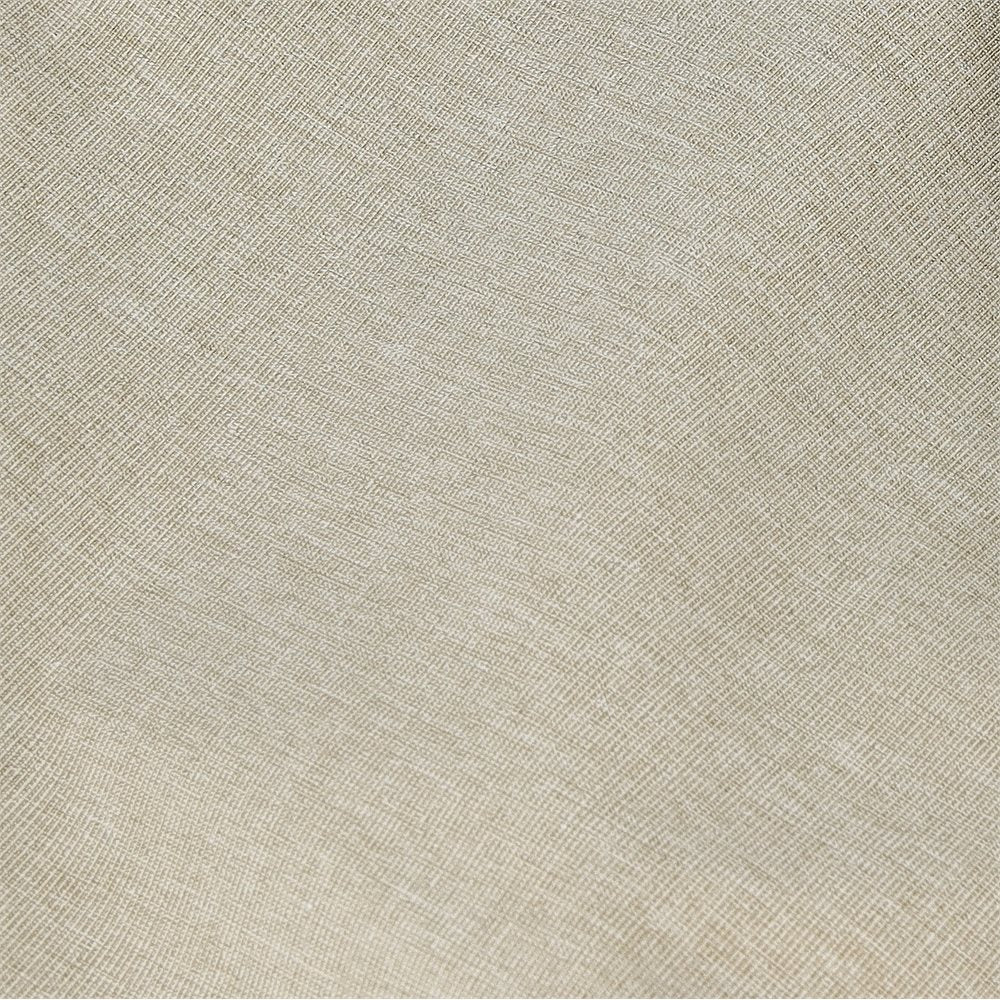 Solid Boardwalker Shorts