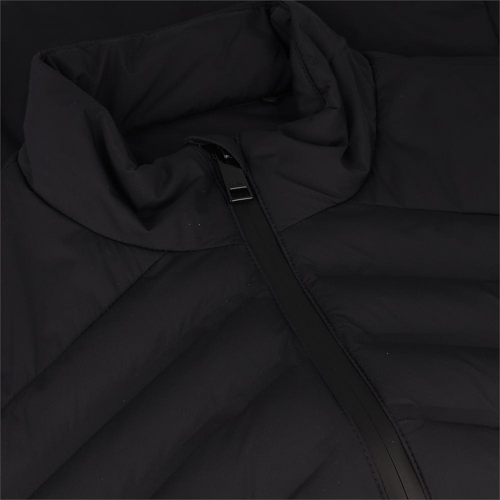 Women's The Stinger Hybrid Stretch Jacket