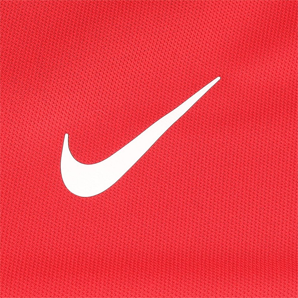 Dri-FIT Victory Polo