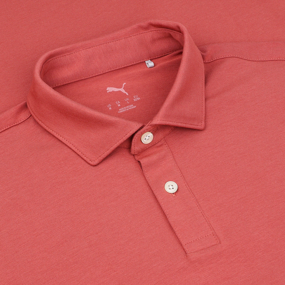Modalon Polo