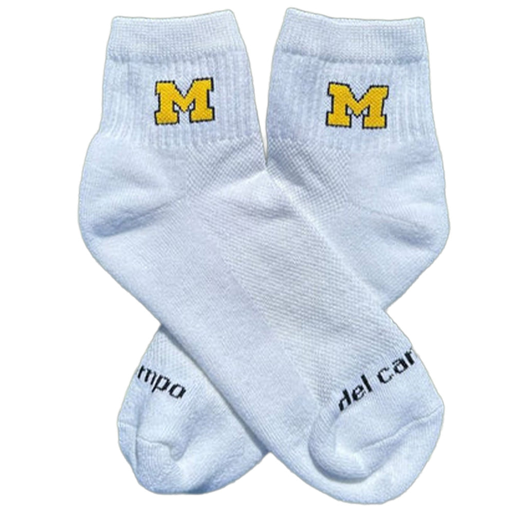 Go Blue Socks
