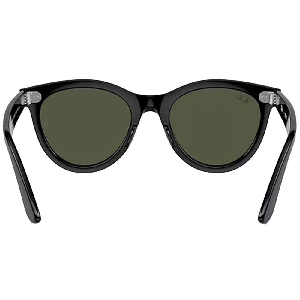 Wayfarer Way Sunglasses