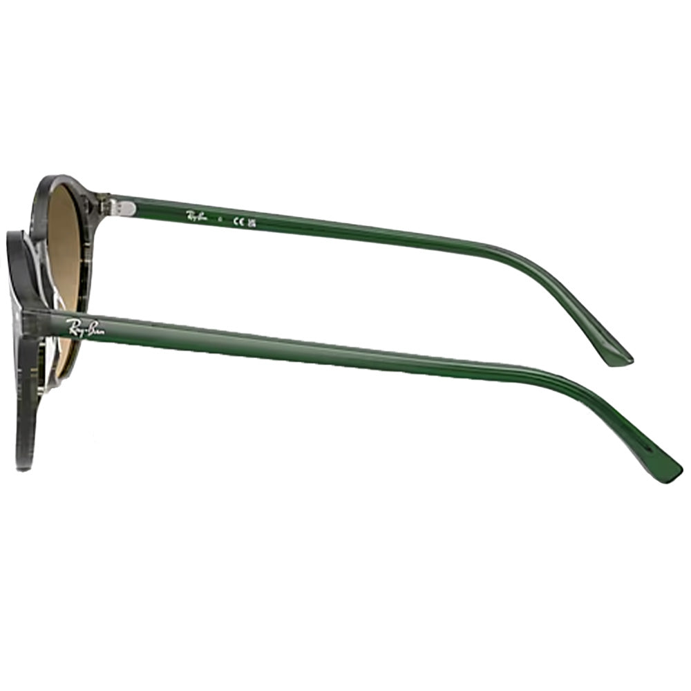 Bernard Sunglasses