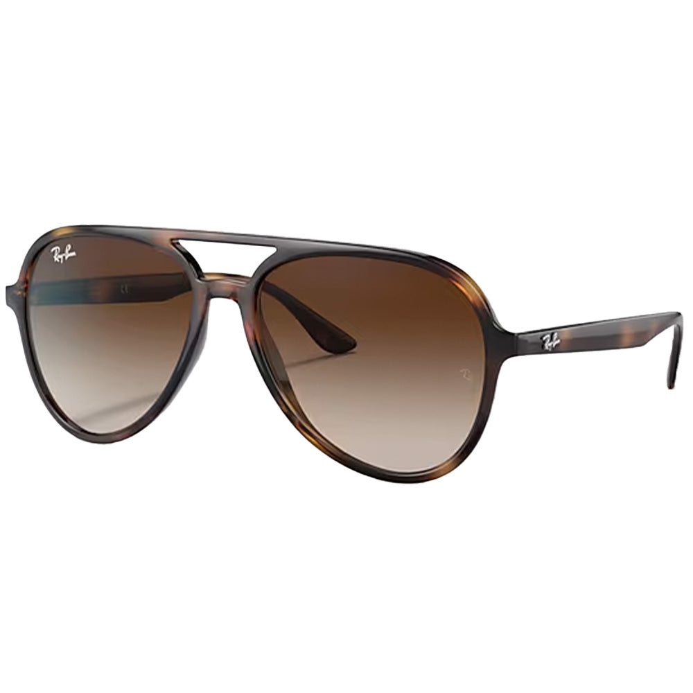 RB4376 Sunglasses
