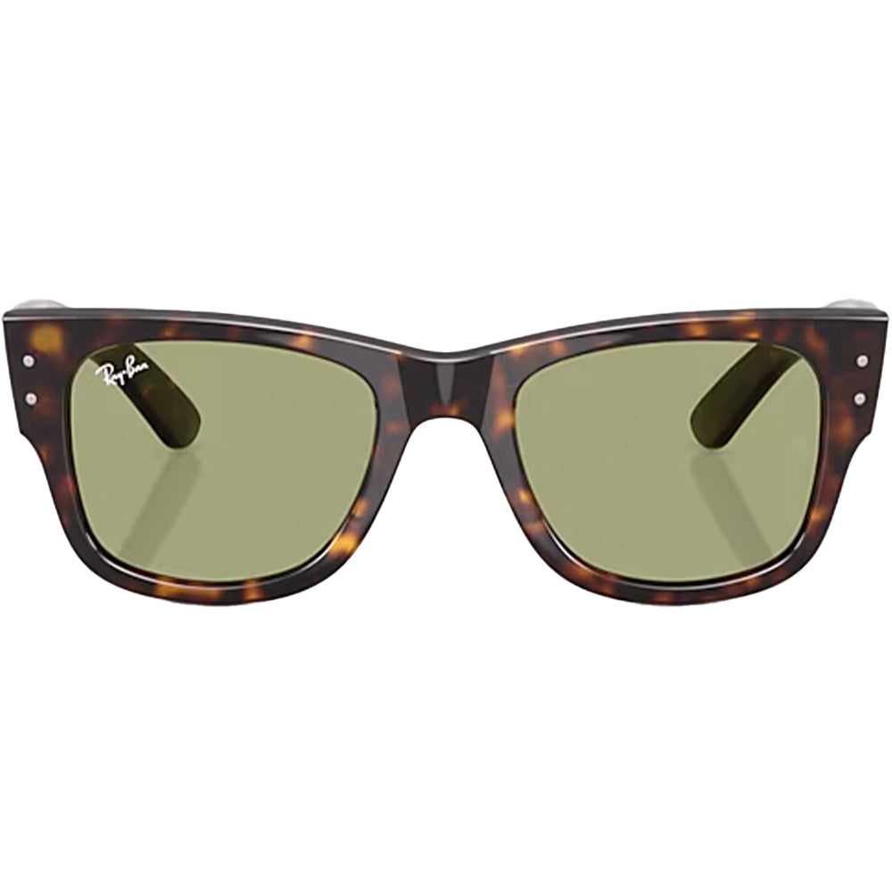 Mega Wayfarer Sunglasses
