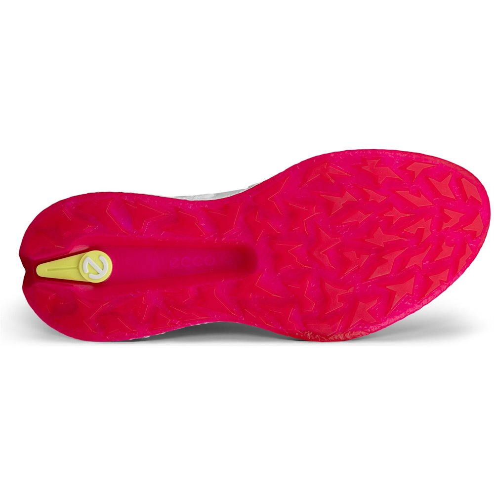 Women's BIOM H5 BOA Spikeless Golf Shoes