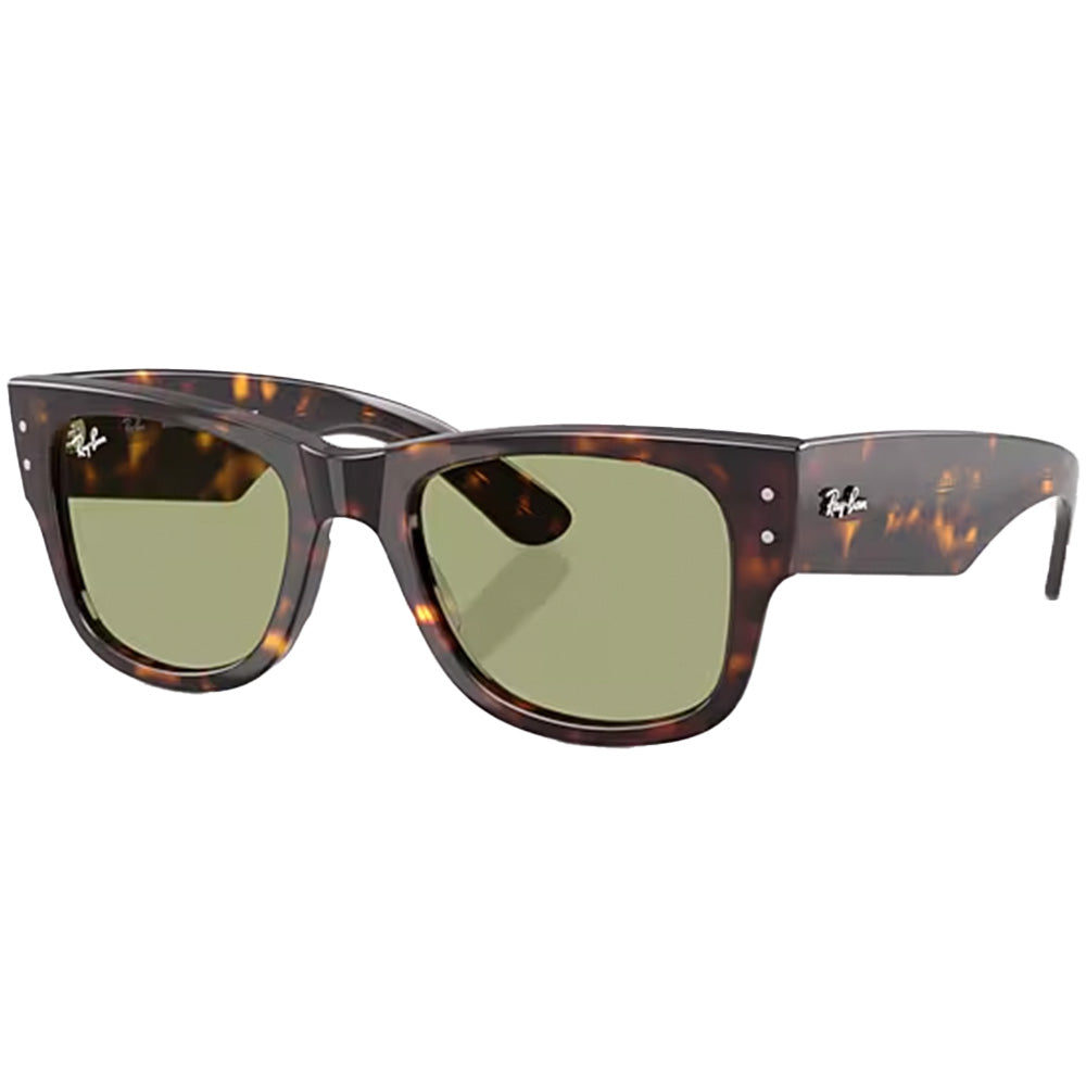 Mega Wayfarer Sunglasses