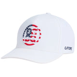 Stars & Stripes Delta Hat