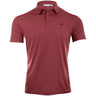 Bridge Polo