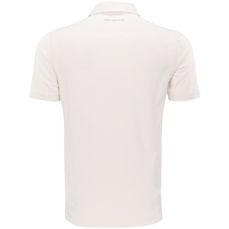 Postcard Market Polo