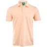 Originals Stripe Pique Polo