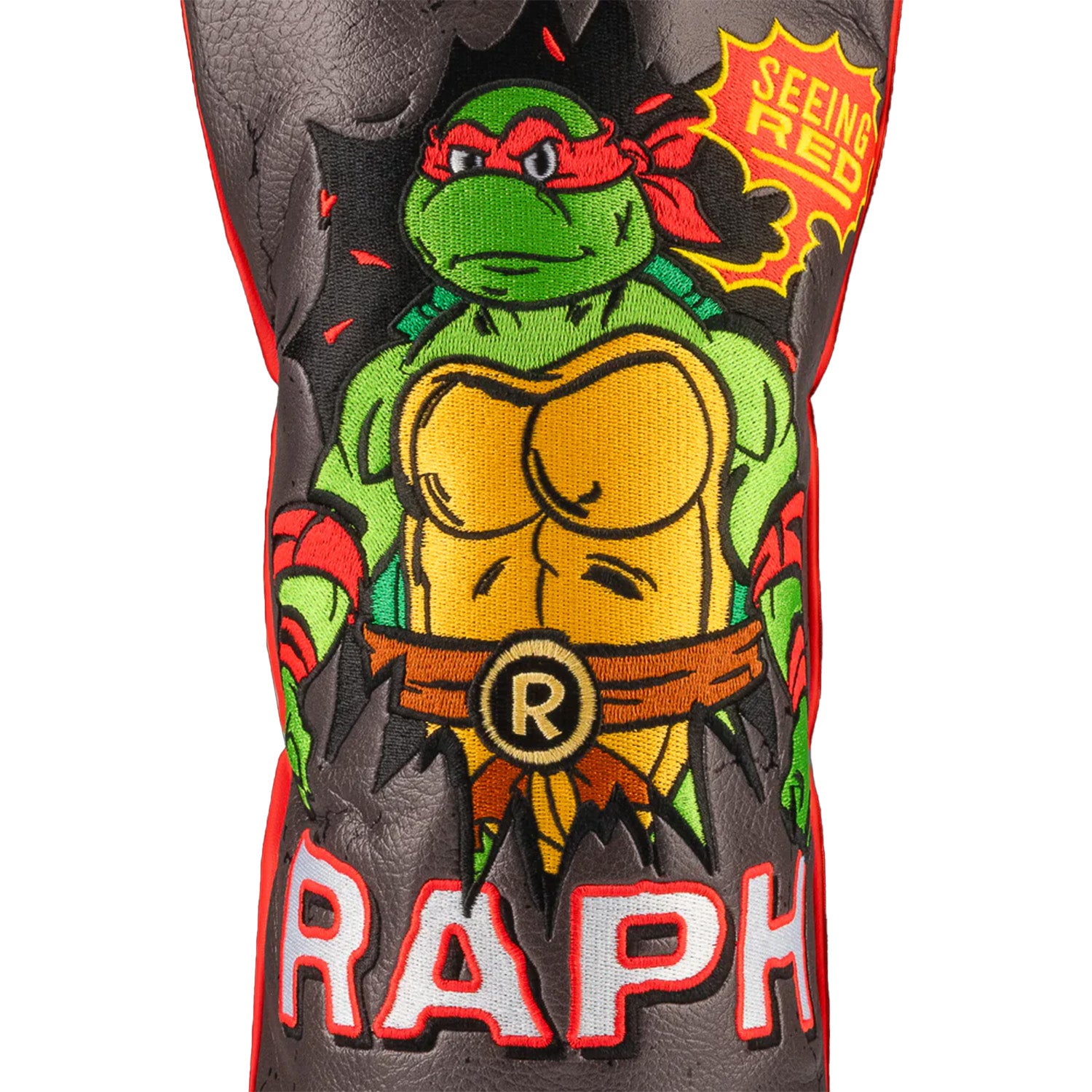 TMNT Heros In A Half Shell Raph Driver Cover