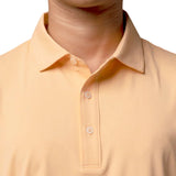 Encinitas Polo