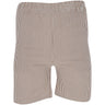 Otis Stripe Oxford Shorts