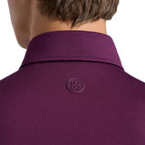 All Play Polo