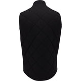 Go To Quilted DWR Vest