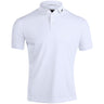 KV Polo