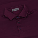 All Play Polo