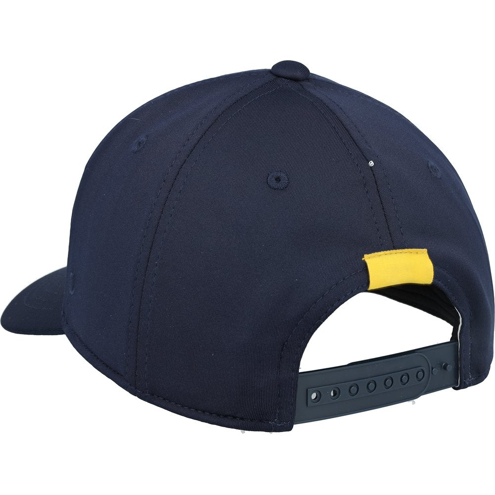 Never Playing Golf Again Hat