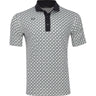 Taylor Recycled RG Print Polo