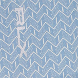Women's Aim Back Pleats Novelty Print 17" Skort